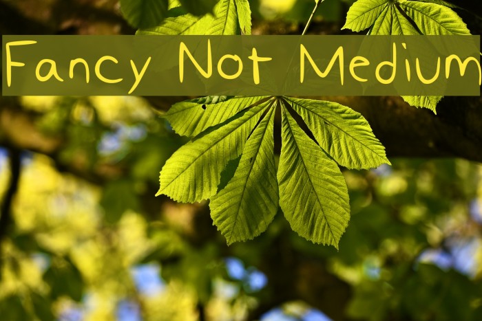 Fancy Not Medium Font examples