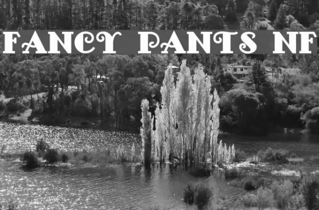 Fancy Pants NF Font examples