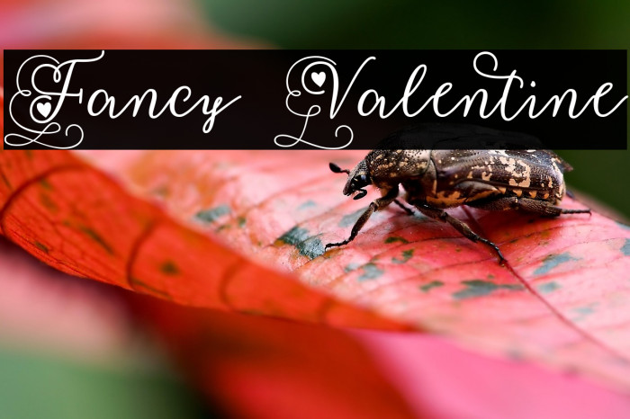 Fancy Valentine Example 3