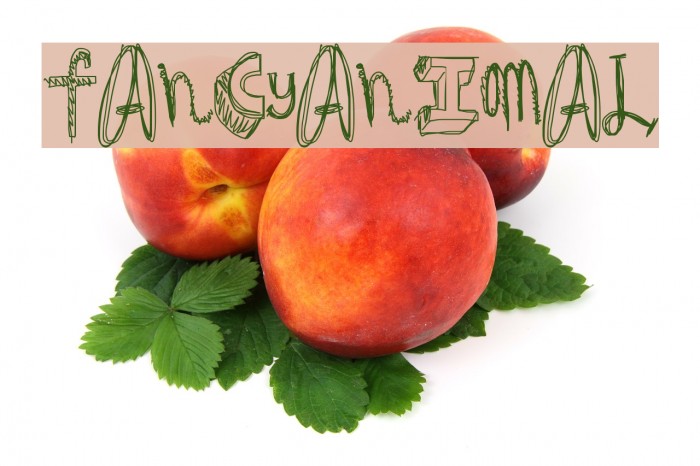 FancyAnimal Font examples