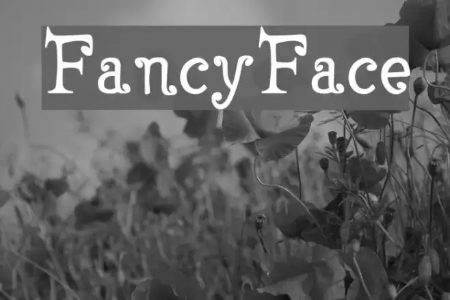 FancyFace Font examples