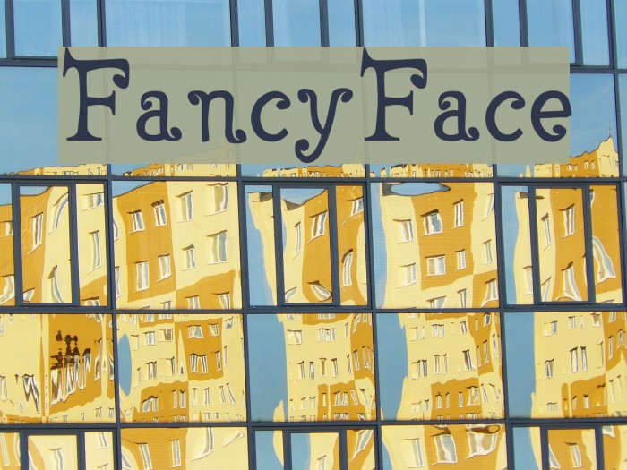 FancyFace Example 3
