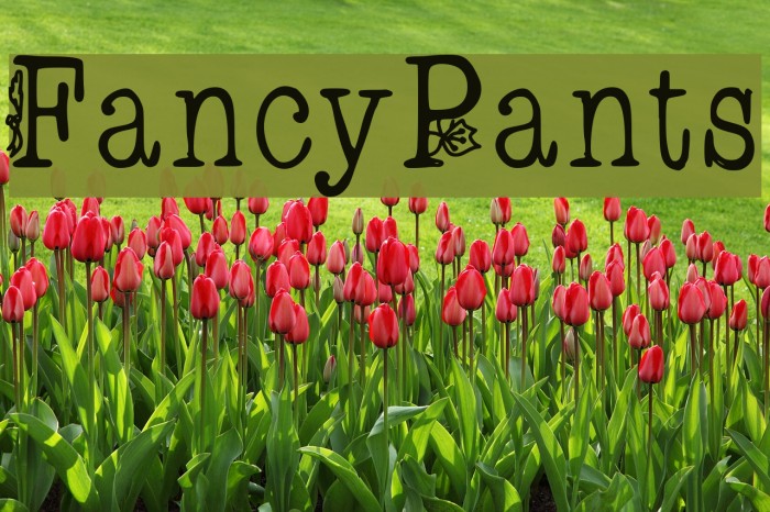 FancyPants Font examples