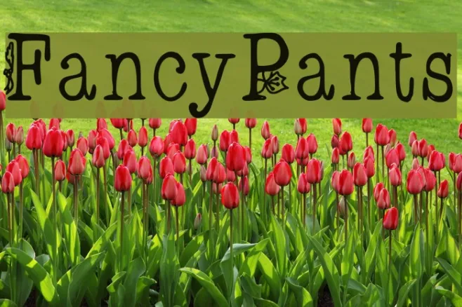 FancyPants Example 2