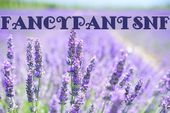 FancyPantsNF Font examples