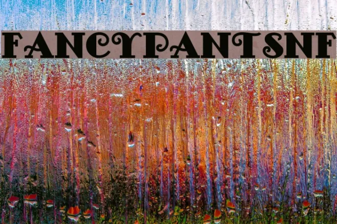 FancyPantsNF Example 2