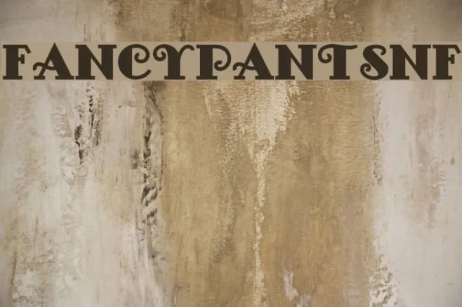 FancyPantsNF Example 3