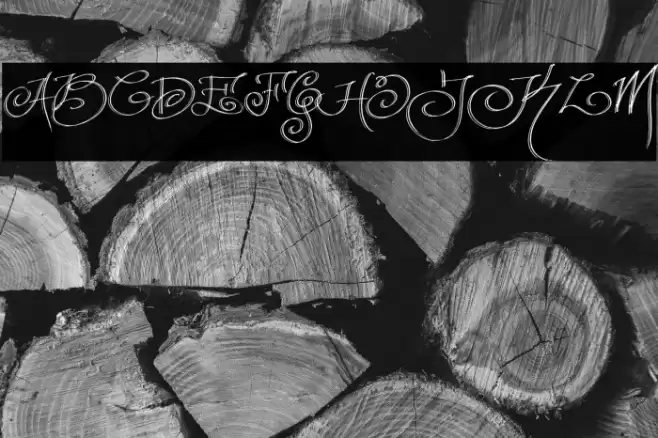 FancyPens Font examples