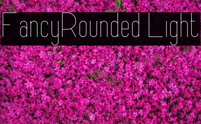 FancyRounded Light Example 1