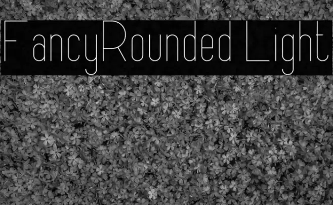FancyRounded Light Font examples