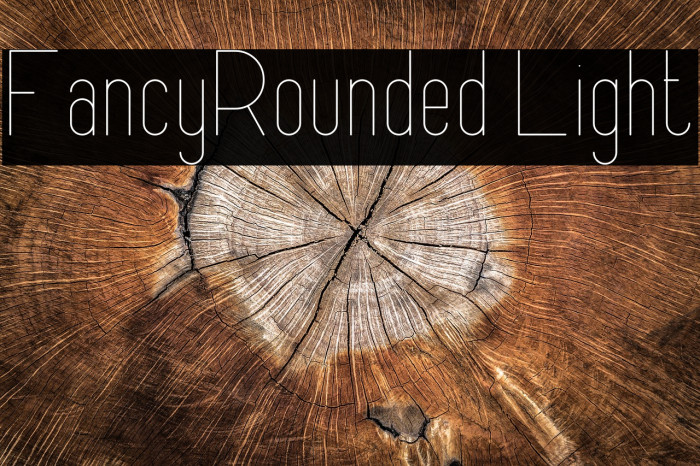 FancyRounded Light Example 2