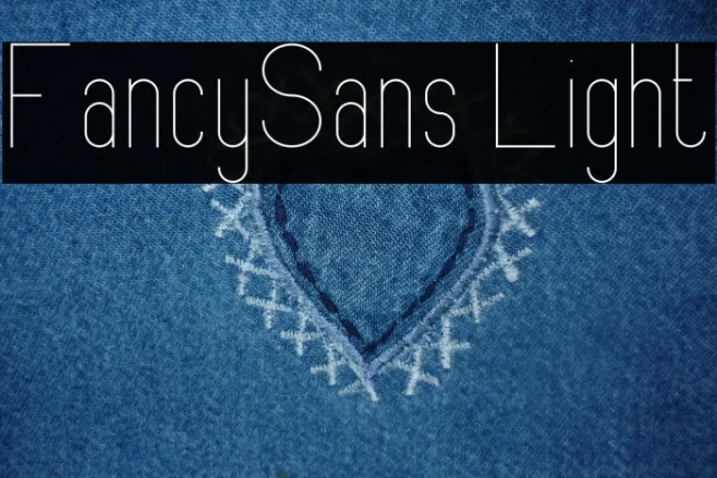 FancySans Light Example 1