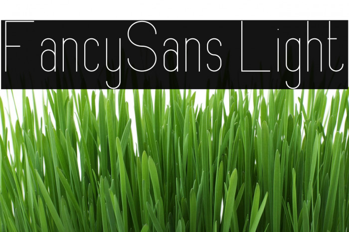 FancySans Light Font examples