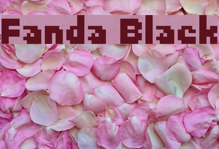 Fanda Black Font examples