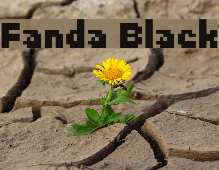 Fanda Black Font examples