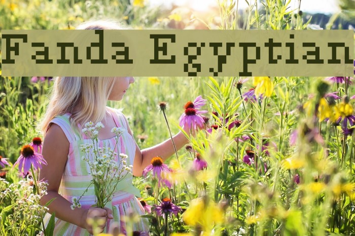 Fanda Egyptian Font examples