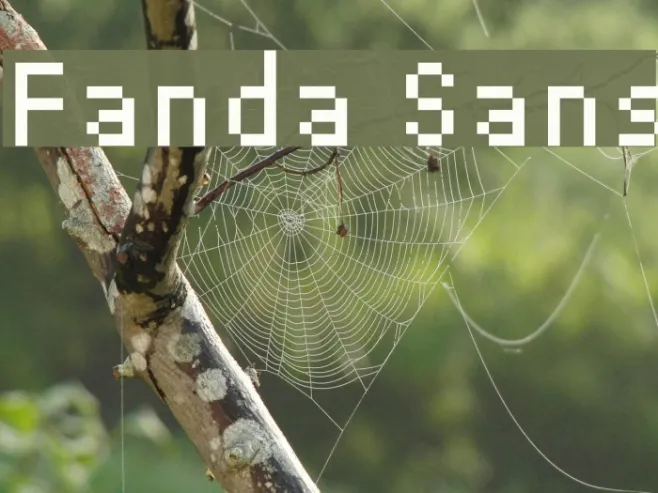 Fanda Sans Example 2