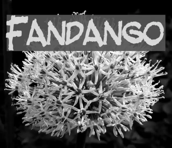 Fandango Font examples