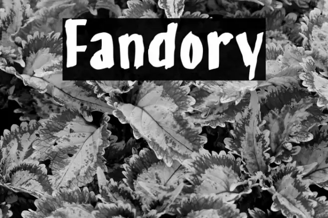 Fandory Fonte examples