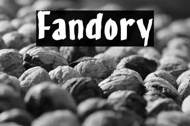 Fandory Fonte examples