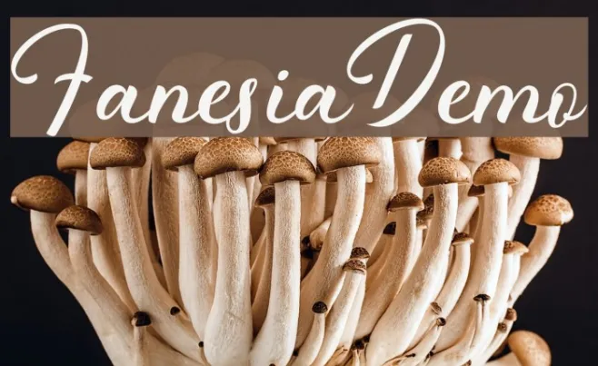 FanesiaDemo Example 2