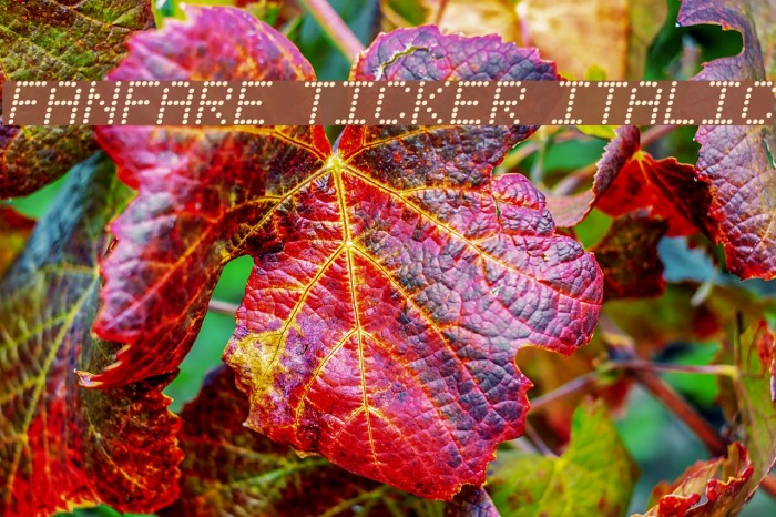 Fanfare Ticker Italic Example 2