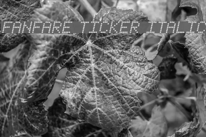 Fanfare Ticker Italic Font examples