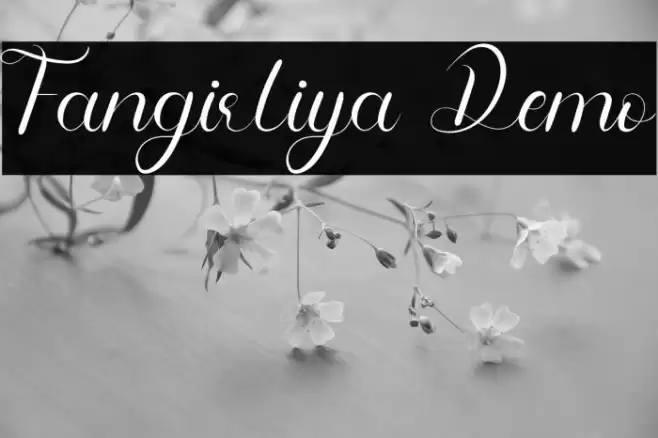 Fangirliya Demo Font examples