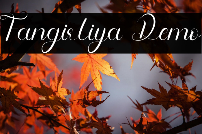 Fangirliya Demo Example 3