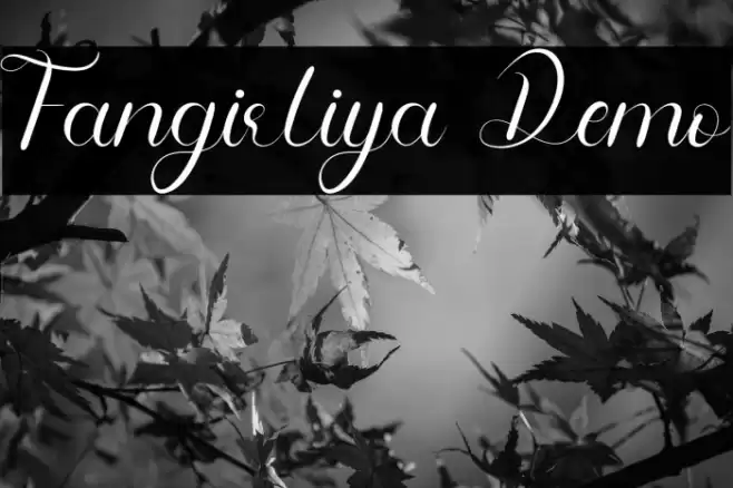 Fangirliya Demo Font examples