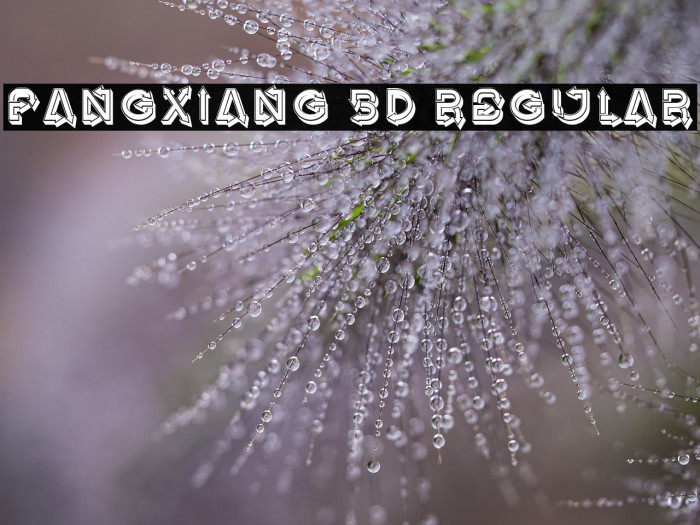 Fangxiang 3D Regular Example 1