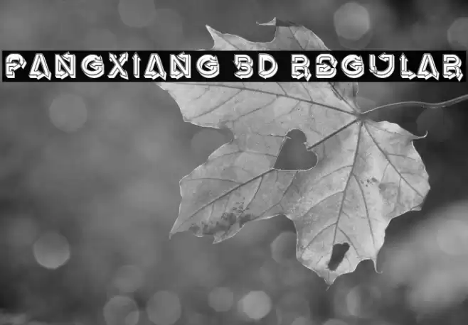 Fangxiang 3D Regular Font examples