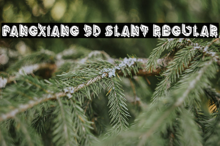 Fangxiang 3D Slant Regular Example 2