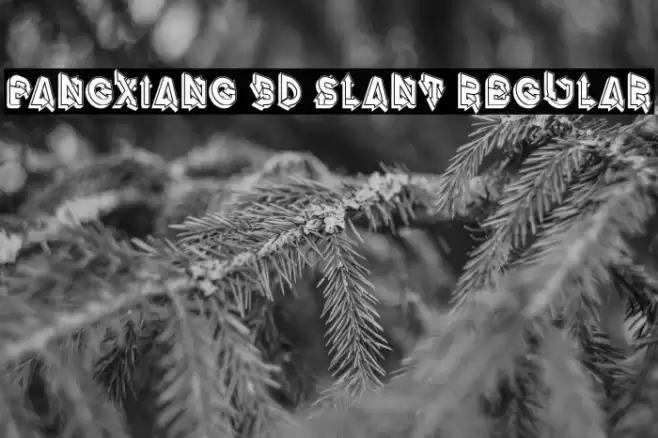 Fangxiang 3D Slant Regular Font examples