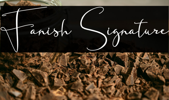 Fanish Signature Example 3