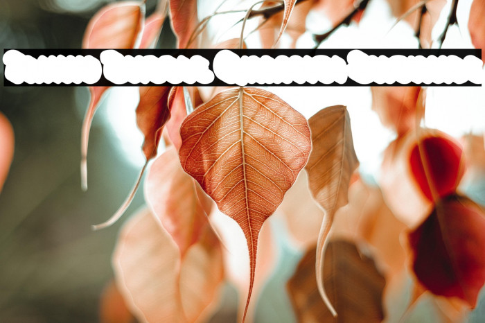 Fanky Bubble Graffiti Extrude Example 2