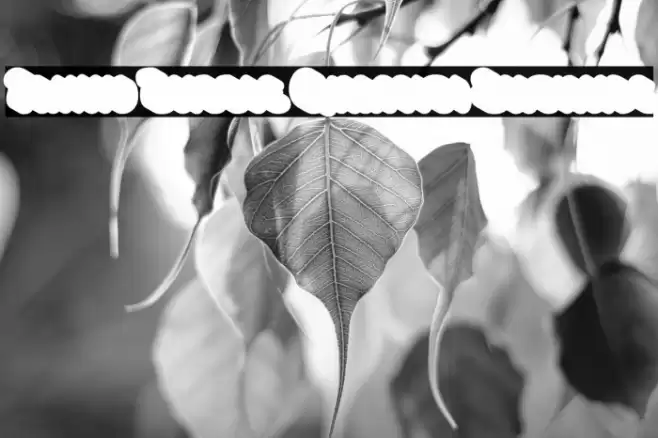 Fanky Bubble Graffiti Extrude Font examples