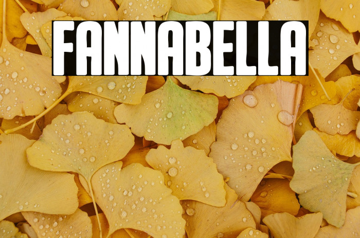 Fannabella Example 3