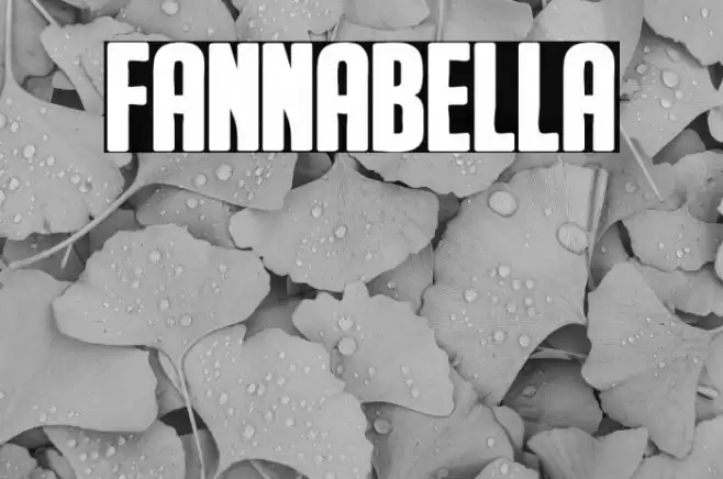 Fannabella Font examples