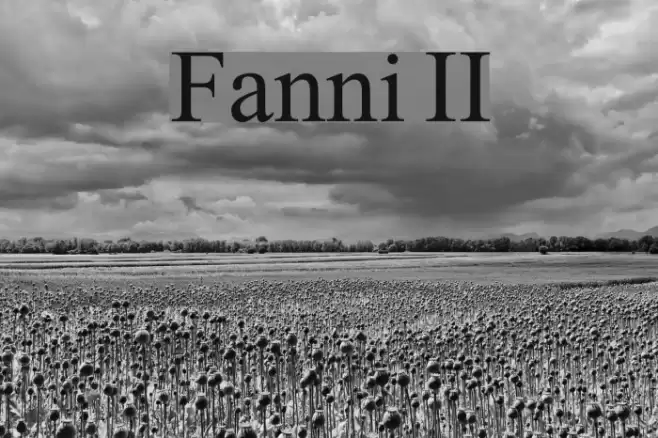 Fanni II Font examples