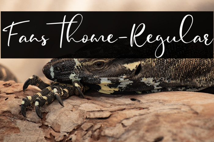 Fansthome-Regular Example 1