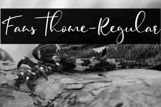 Fansthome-Regular Font examples