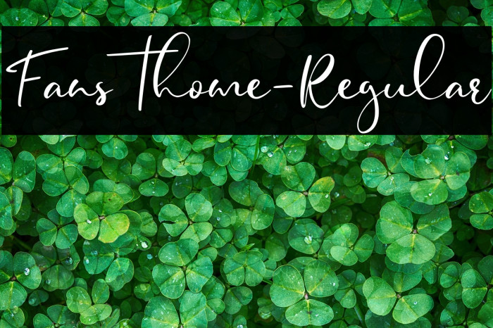 Fansthome-Regular Example 2