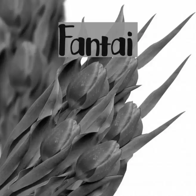 Fantai Font examples