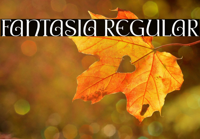 Fantasia Regular Example 3