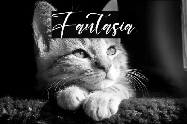 Fantasia Font examples