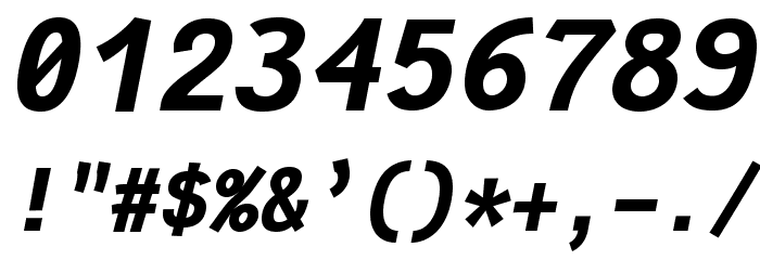 Fantasque Sans Mono Bold Italic Font OTHER CHARS