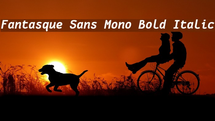 Fantasque Sans Mono Bold Italic Font examples