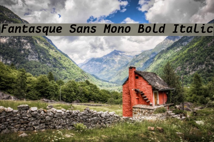 Fantasque Sans Mono Bold Italic Font examples