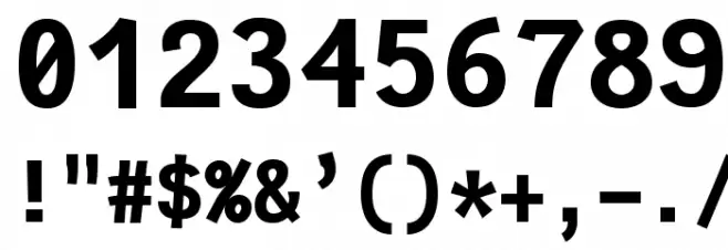 Fantasque Sans Mono Bold Font OTHER CHARS